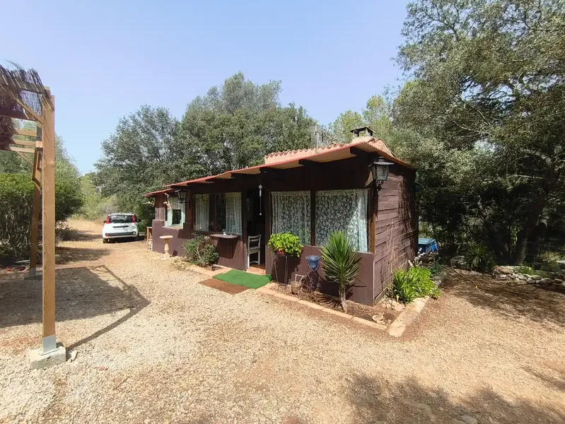 Finca of 12000 m² in the area of Sa Comuna, almost entirely enclosed by stone wall, with an old stone cottage of about 30 m² and an annex — photo 8