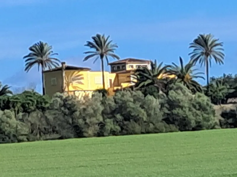 Imposing finca with sep. guest house and all extras near Petra - Manacor -- F 64 VK — photo 4