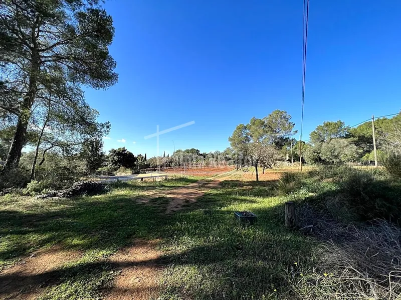 Country Estate for sale in Algaida of 16229 m2 — photo 6