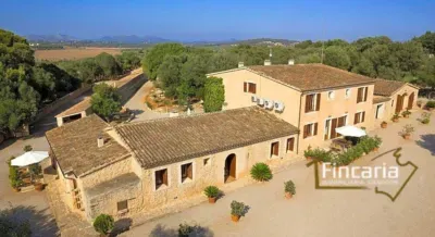 Rustic finca on the road from Manacor to Porto Cristo — photo 3
