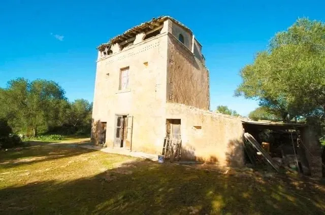 Large Mallorcan estate in Campos - 150,000 m² just 2 km from Es Trenc — photo 11