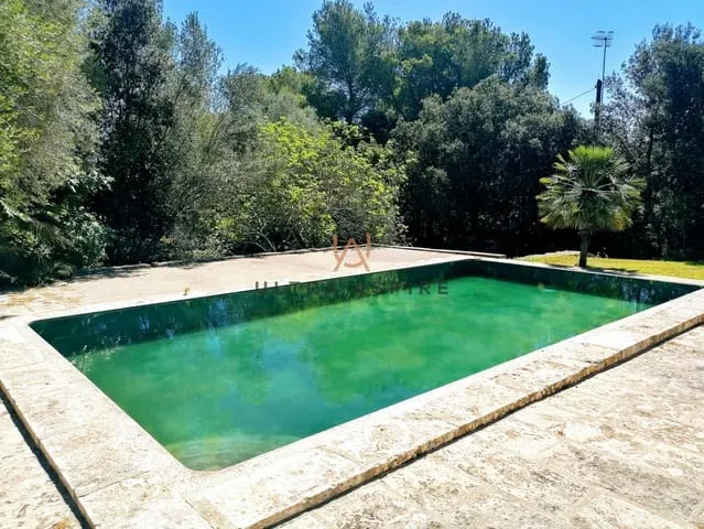 Finca/Country House for rent in Son Servera — photo 2