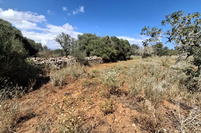 Plot with partial sea views between Cas Concos and Santanyí T 15 — photo 2