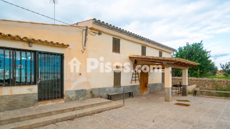 Rustic finca in Villafranca de Bonany — photo 2