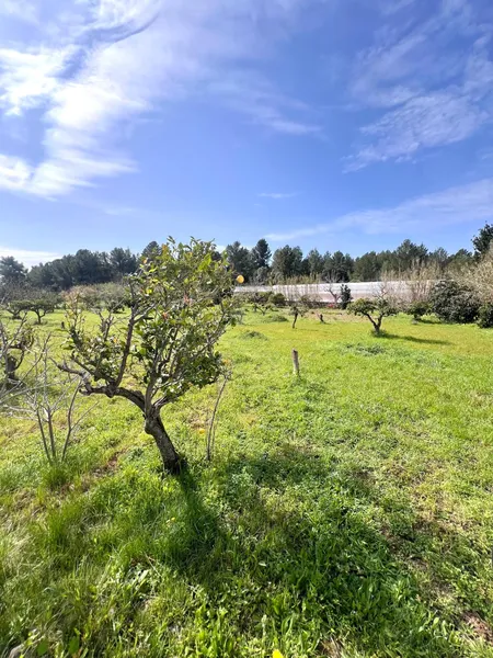 Plot for agricultural project or educational garden - Calvià — photo 3