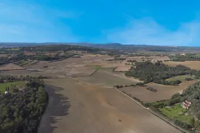 Finca for sale in Manacor — photo 2