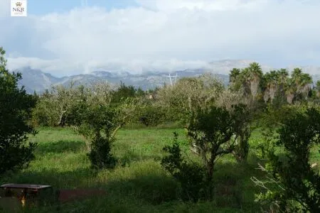 Rustic property - Llubí (Llubi), Built Surface 208m², Plot Surface 7500m², Distance to the sea 15 km — photo 11