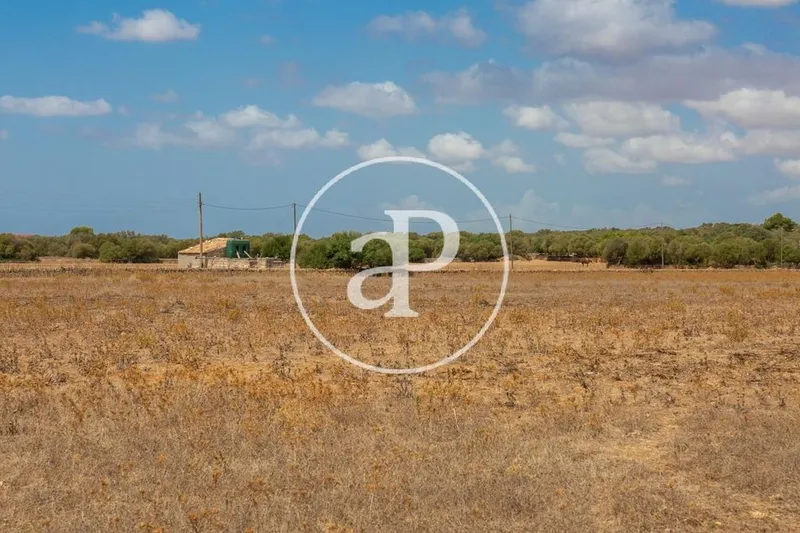 Land in Campos, Province of Balearic Islands — photo 11
