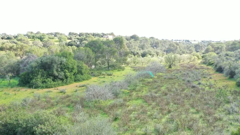 Rustic plot 5 minutes from Porto Petro — photo 2