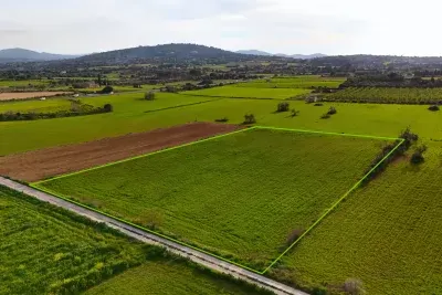 Plot for sale with building permit in Manacor — photo 1