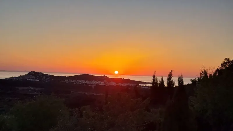 Lifestyle finca with close connection to Capdepera and Cala Ratjada! — photo 6