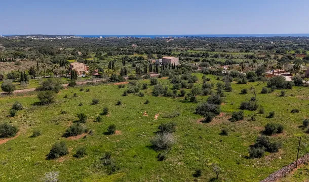 Sea-view plot just 10 minutes from Porto Cristo — photo 4