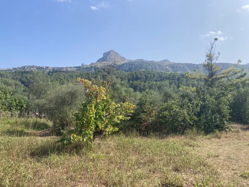 Rustic Finca for sale in Vall de Son March, Pollença, Mallorca, Baleares, Mallorca — photo 6