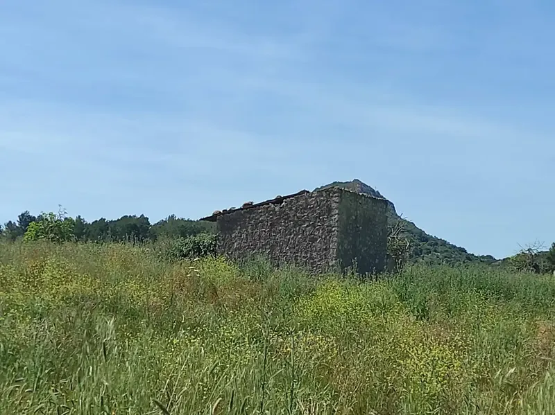 Fantastic Estate of 17,700m2 for Sale with Project for a 290m2 Single-Family Home in the Municipality of Sineu — photo 11