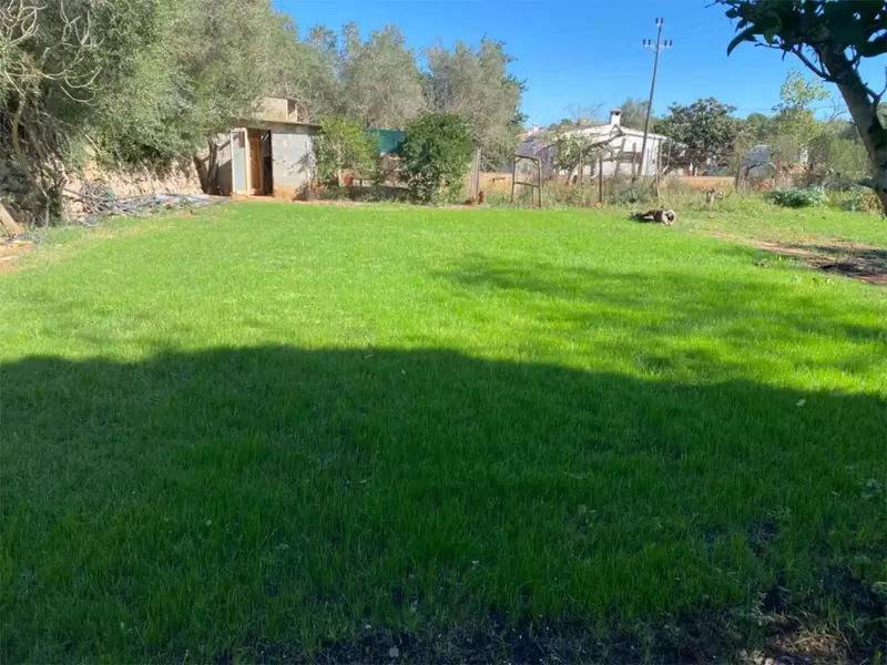 Charming rustic finca for sale with certificate of occupancy, 15 min from Palma, 301 m2 built, distributed over 3 floors on a plot — photo 3