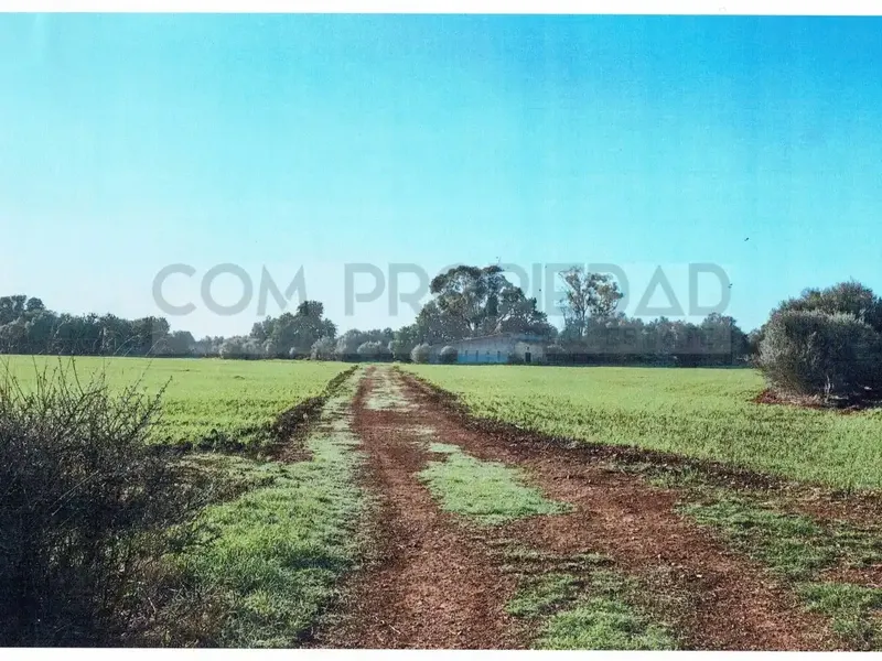 Rustic estate of 217,089 m² of own land, located between Felanitx and Porreres. It has a project for a rural hotel or agrotourism that — photo 8
