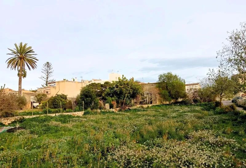 Exclusive plot with sea views and great development potential in Alquería Blanca — photo 2