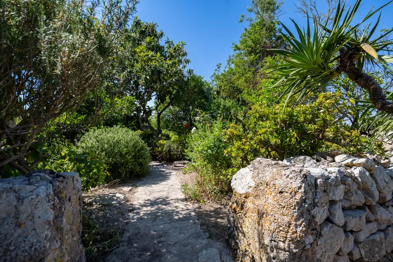 Charming little finca in Son Barceló - Felanitx — photo 12
