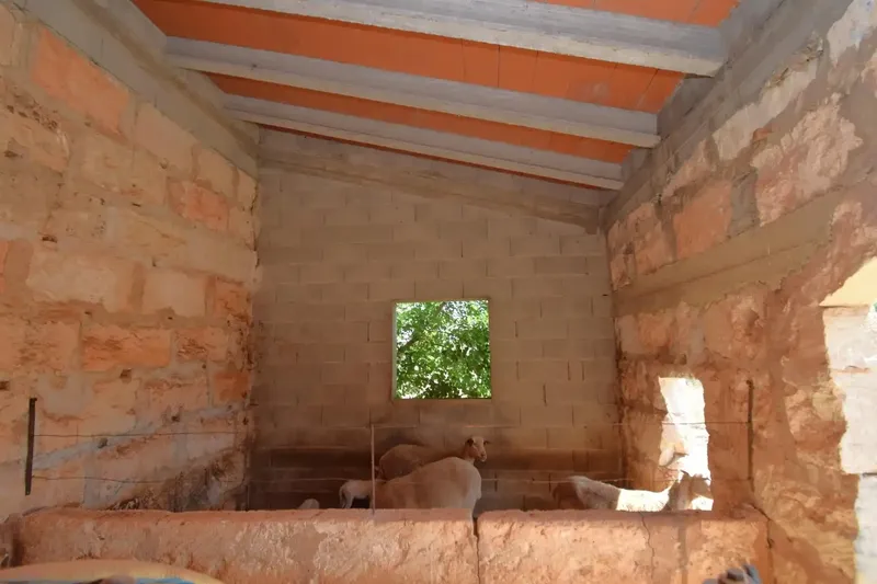 Discover this magnificent rustic estate located in the Son Blay area, just 2.7 km from the town center and with direct access by road — photo 8