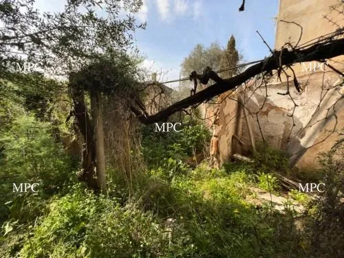 Plot in need of renovation in the center of Sant Llorenç des Cardassar — photo 1