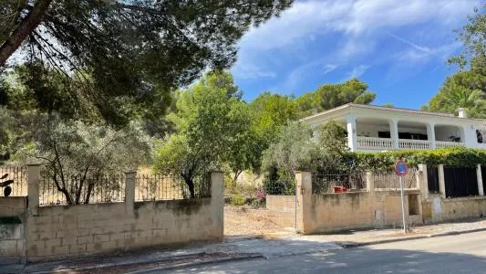 Building Site - Calvià (Santa Ponça) — photo 10