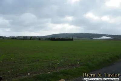 Land for sale in Manacor — photo 2