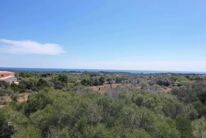 Plot near Cala Murada with sea views — photo 3
