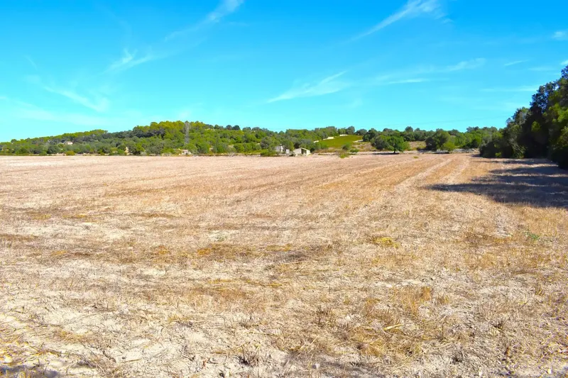 Finca rústica edificable de 32.462 m2, situada entre Llubí y Santa Margalida, en un entorno tranquilo y con hermosas vistas abiertas a la Se — photo 12