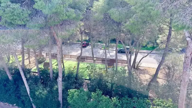 apartment in Calvia — photo 5
