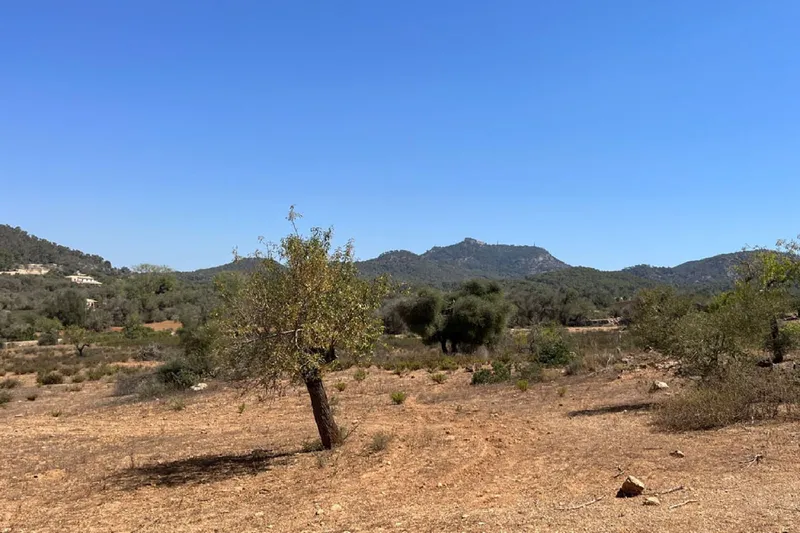 Building plot near Es Carritxó with views and approved finca project — photo 2