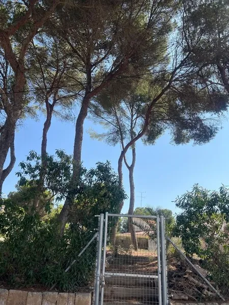 Land in Palma de Mallorca, Province of Balearic Islands — photo 1