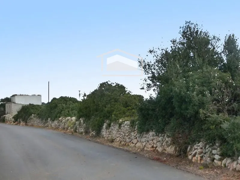 Rustic finca for sale in Ses Salines with 15,000 m2 — photo 4