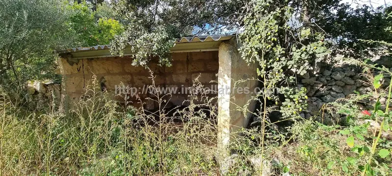 Unique opportunity on the outskirts of the charming municipality of Sencelles, on the beautiful island of Mallorca. This huge rustic estate — photo 12