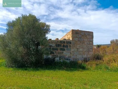Rural Land - Sa Pobla (Pobla (Sa)), Built Surface 46m², Plot Surface 9574m² — photo 3