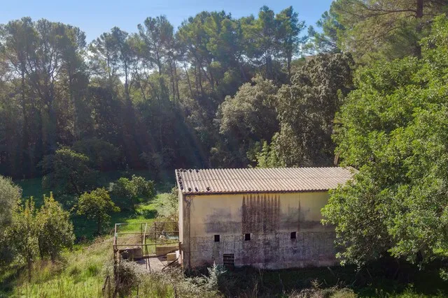 Country plot for sale ideal for building a family home in Moscari, Mallorca — photo 9