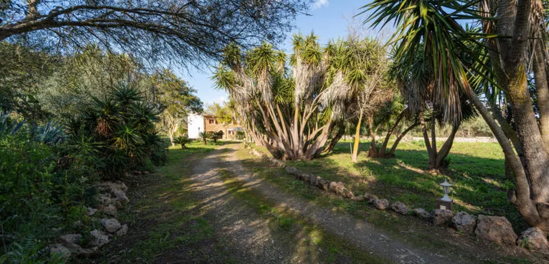 Country house in Sineu with pool and 5,400 m² of land — photo 7