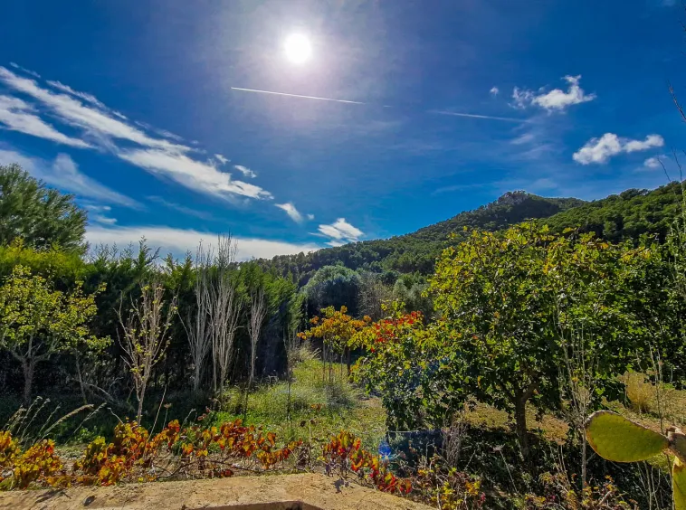 Ref. 2435C – Es Capdella – Beautiful finca with fantastic mountain views — photo 11