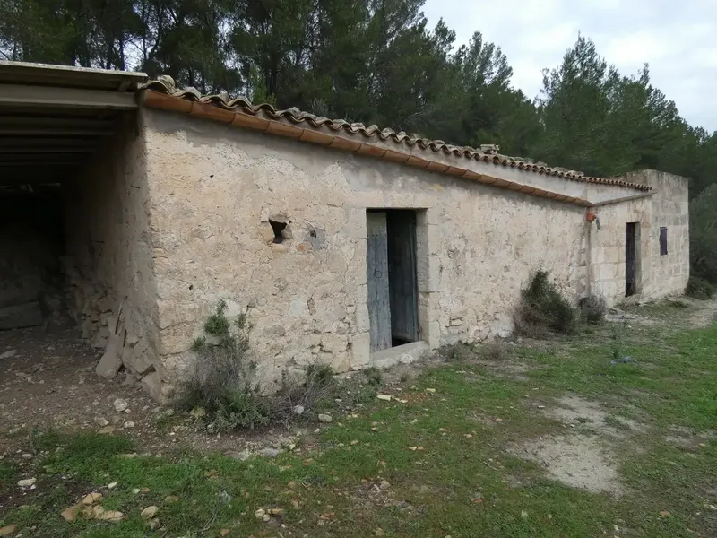 Rustic estate of 25,281 m² for sale with a 99 m² building to renovate, built before 1956 but in good condition — photo 2