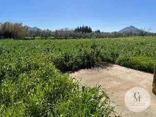 Exclusive Rustic Estate for Sale at C&M Fine Homes - A Haven of Tranquility in Alcúdia — photo 5