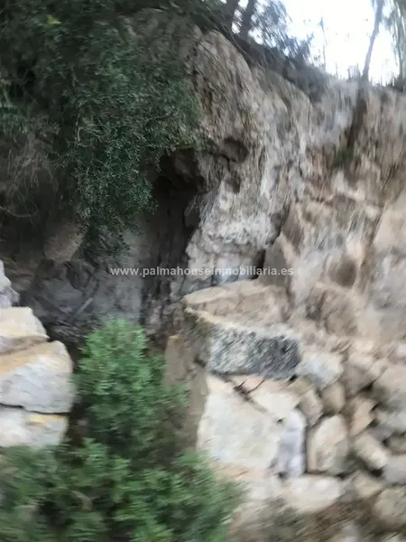 Old house surrounded by nature and with many possibilities!! Palma House Inmobiliaria offers you this spectacular rustic plot of about — photo 9