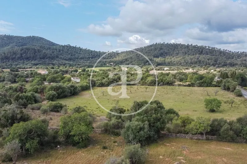 Land in Artà, Province of Balearic Islands — photo 10