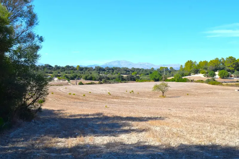 Finca rústica edificable de 32.462 m2, situada entre Llubí y Santa Margalida, en un entorno tranquilo y con hermosas vistas abiertas a la Se — photo 8