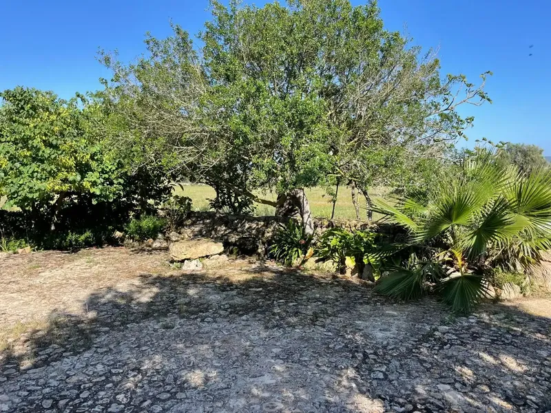 Rustic finca with stone house, surrounded by 50,000 m2 of nature and tranquility, between Algaida and Pina, 15 min from Palma. The house co — photo 4
