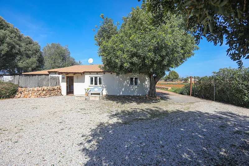 Modern finca with swimming pool and beautiful garden in Llucmajor — photo 3