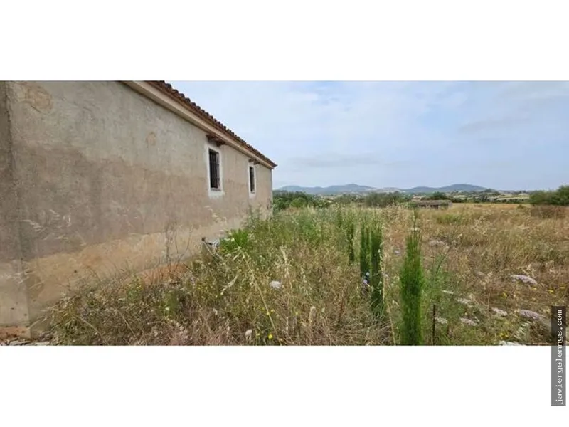 Rustic finca for sale in Manacor Centro — photo 3