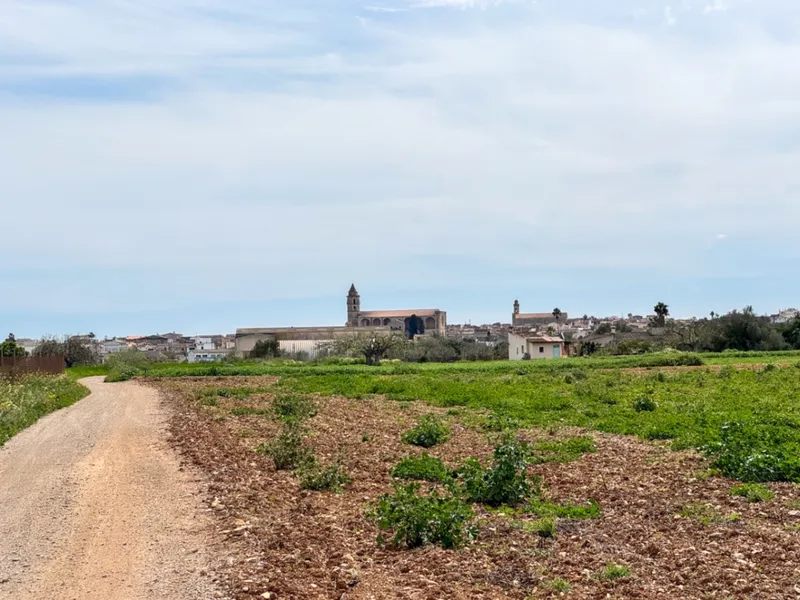 Beautiful rustic finca with great potential and panoramic views — photo 1