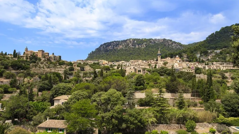 Ideal for country lovers plot for sale in Valldemossa with mountain view — photo 6