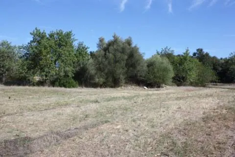 Plot — photo 9