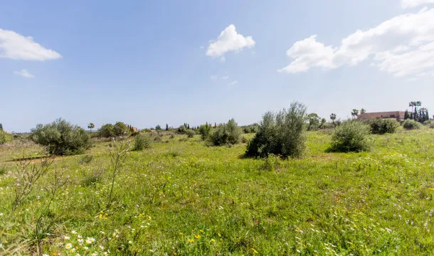 Sea-view plot just 10 minutes from Porto Cristo — photo 5