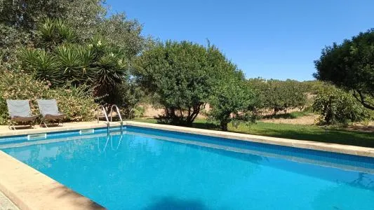 Rustic property - Manacor (Manacor Centro) — photo 3